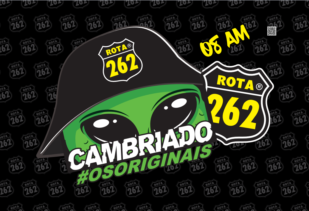 BANDEIRAS ROTA 262