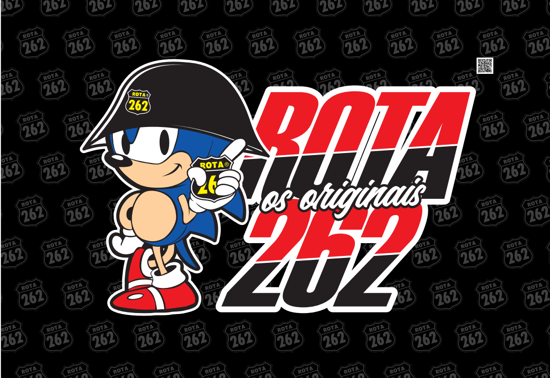 BANDEIRAS ROTA 262