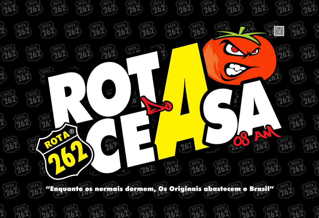 BANDEIRAS ROTA 262