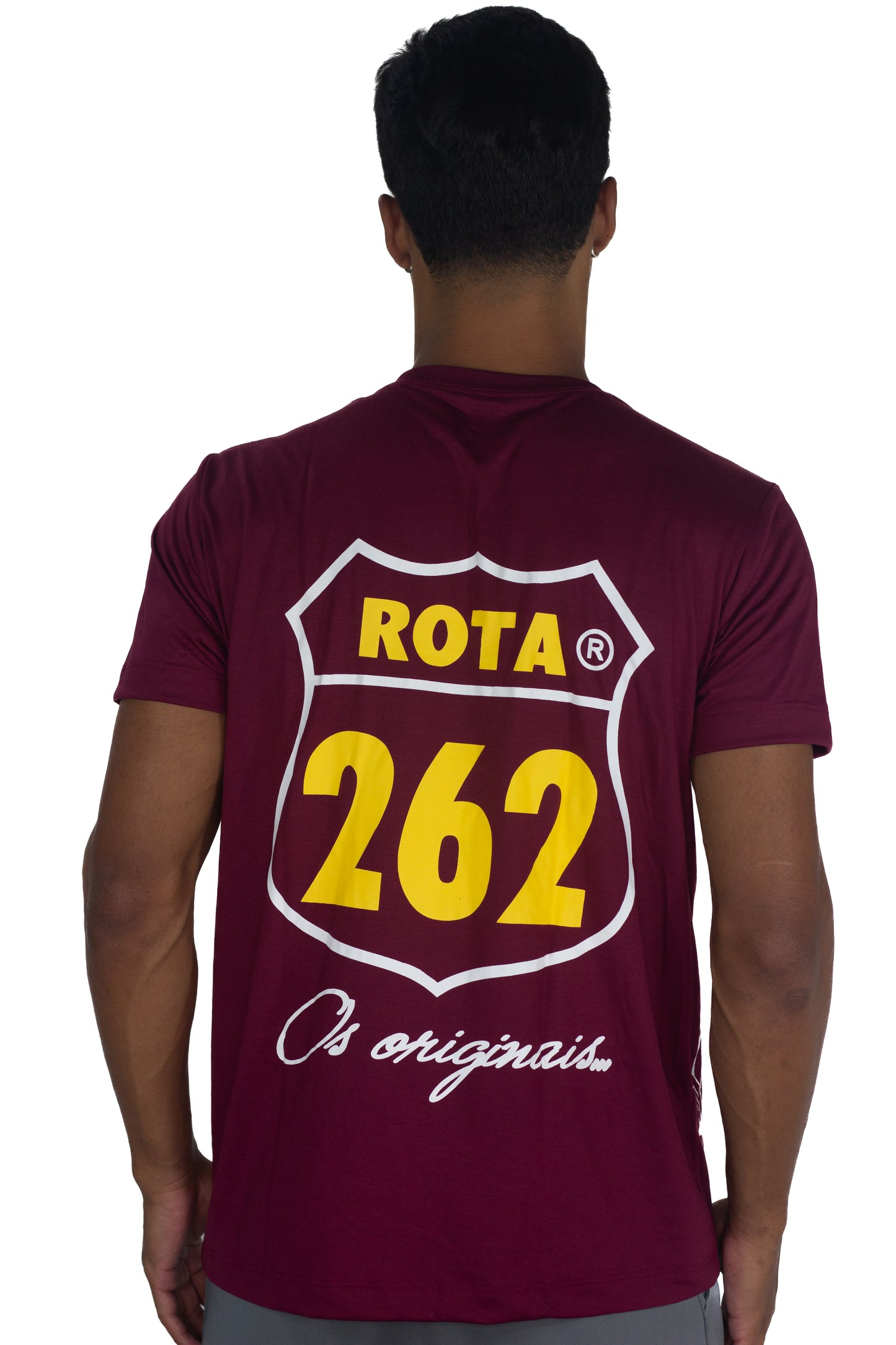 CAMISA VOLVO FH ROTA 262